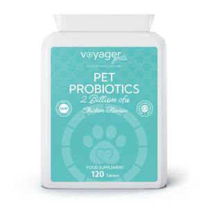 Voyager Pet Probiotics 2 Billion